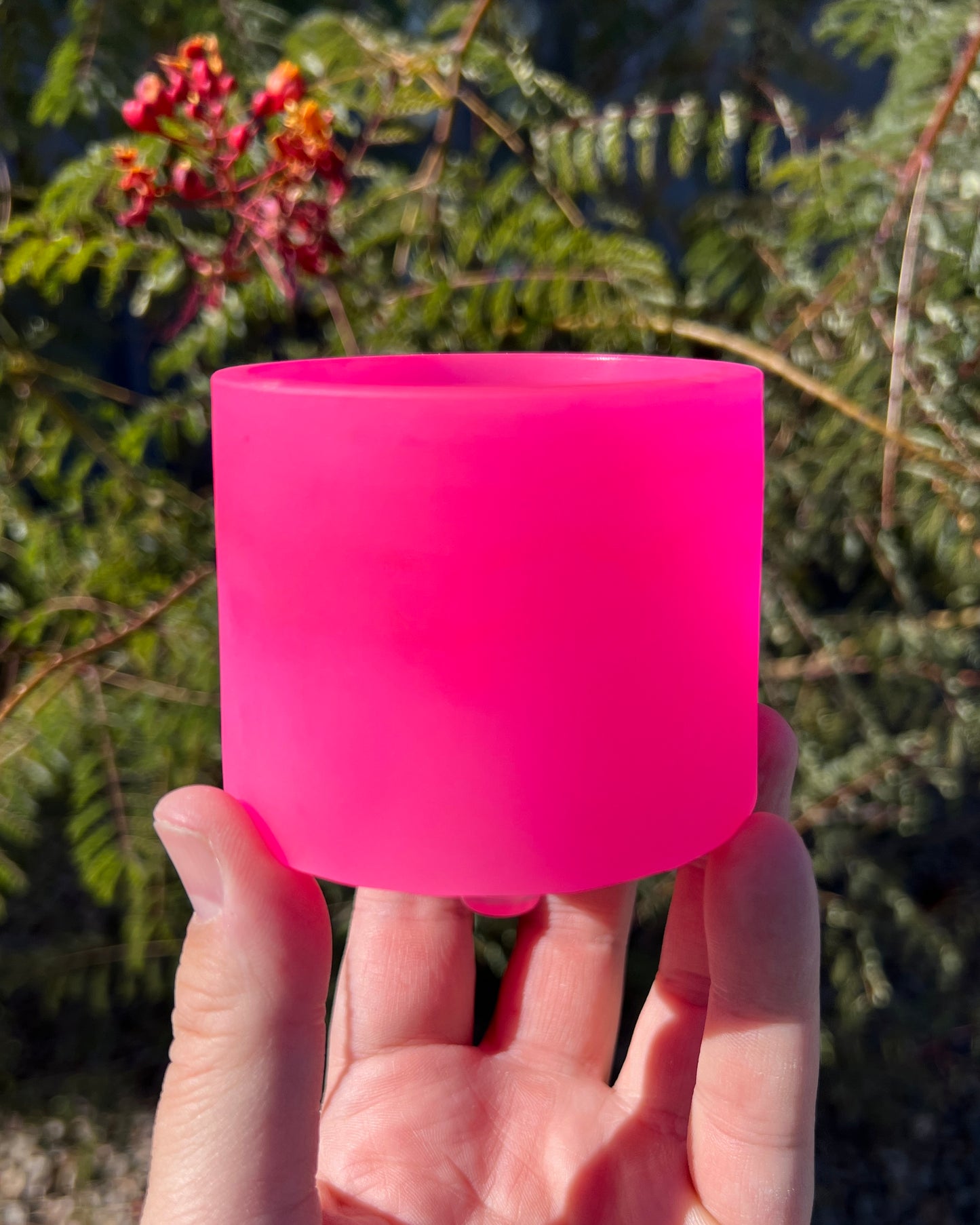 Plant Pot - Hot Pink Monochromatic Mini