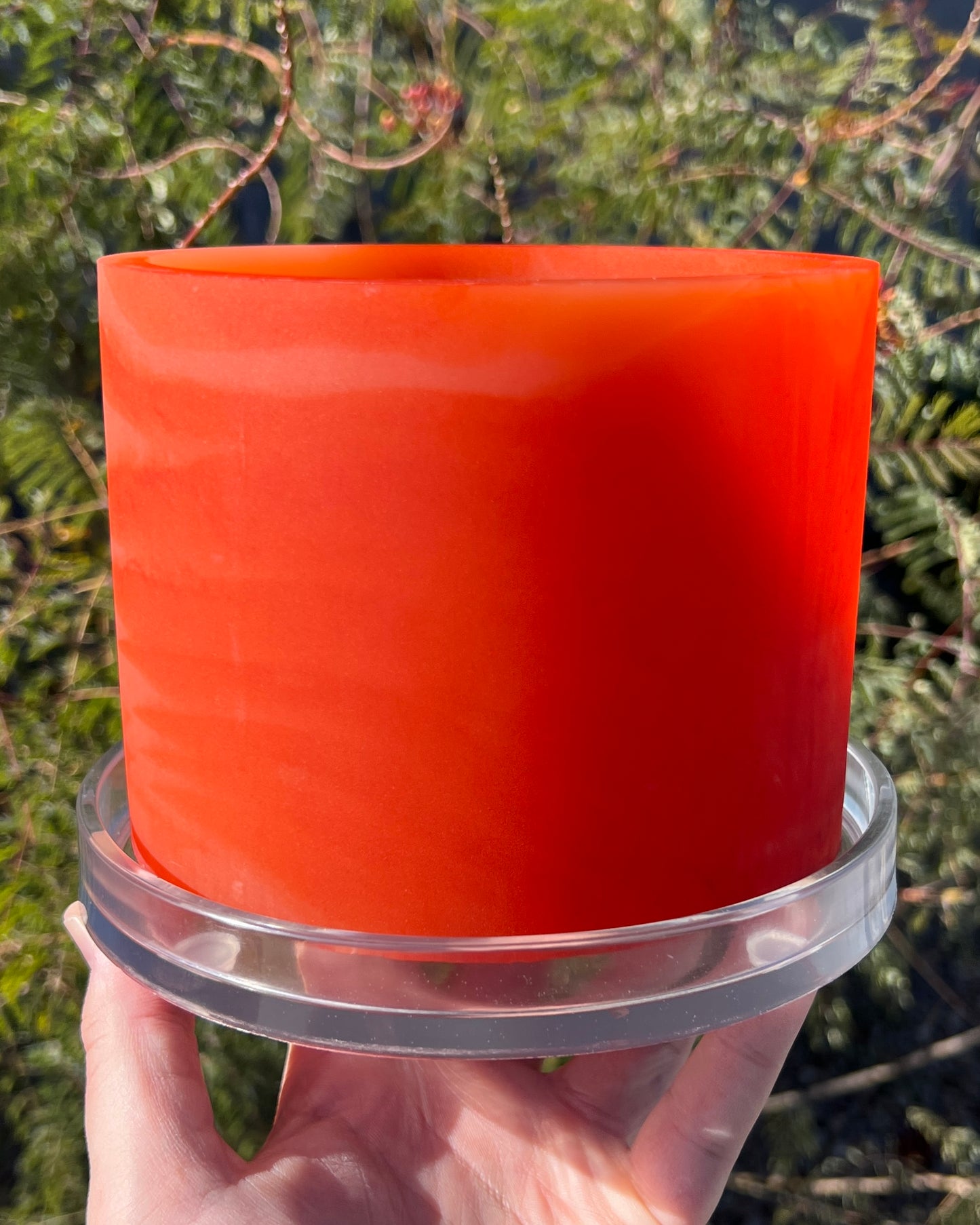 Plant Pot - Vermillion Monochromatic