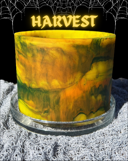 HARVEST | Day 19 Halloween Plant Pot