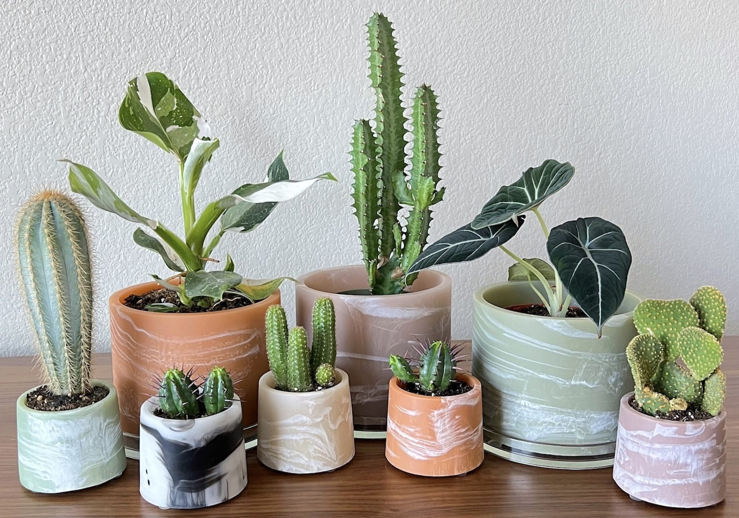 cactus and succulent display terrestrial handmade resin indoor planters