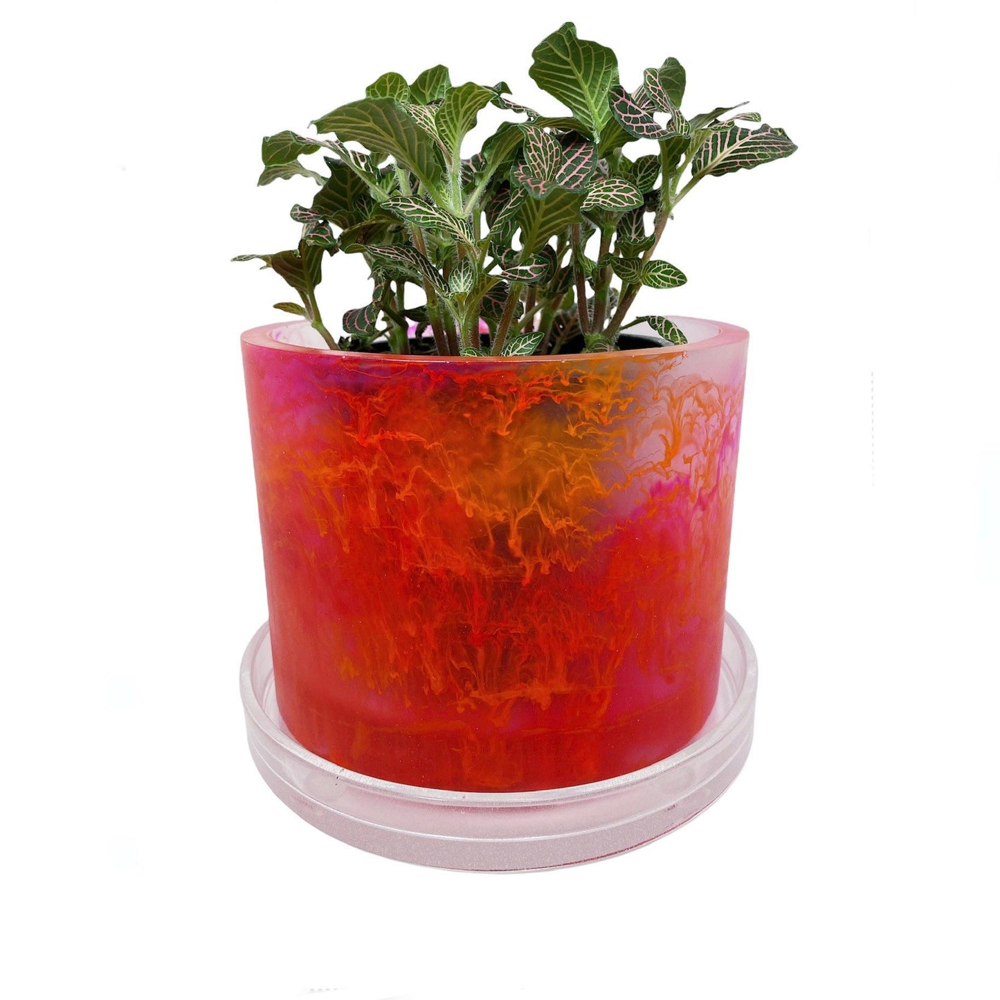 Plant Pot - Hot Pink | Orange Double Rorschach